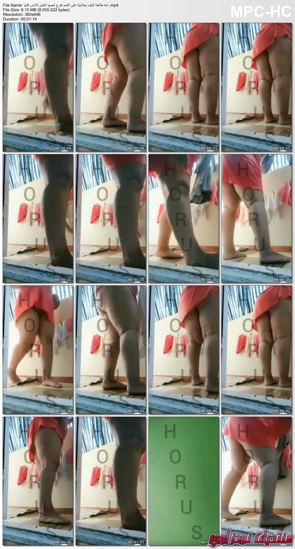            mp4 thumbs 20231231 040145