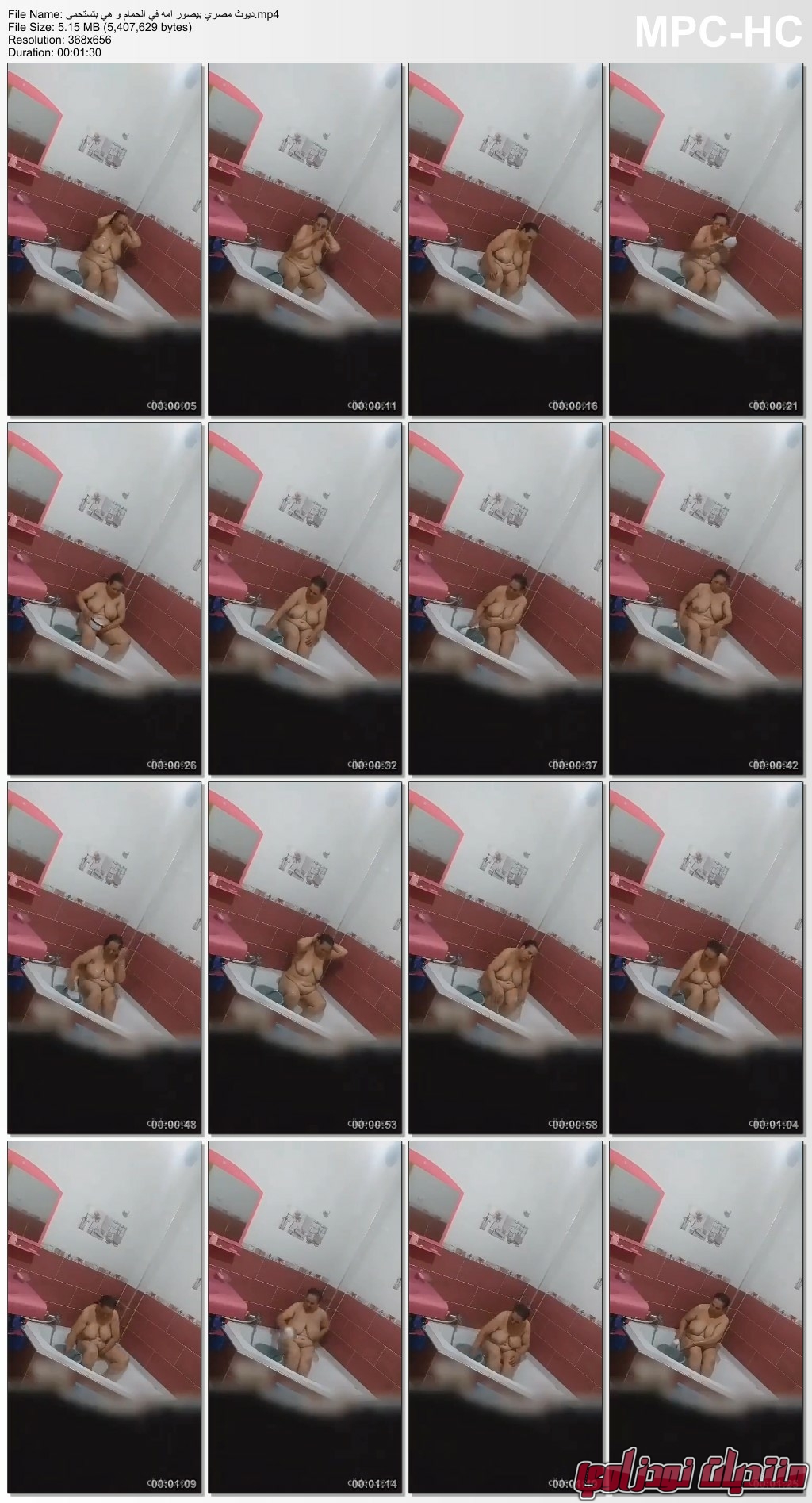         mp4 thumbs 20231231 040821