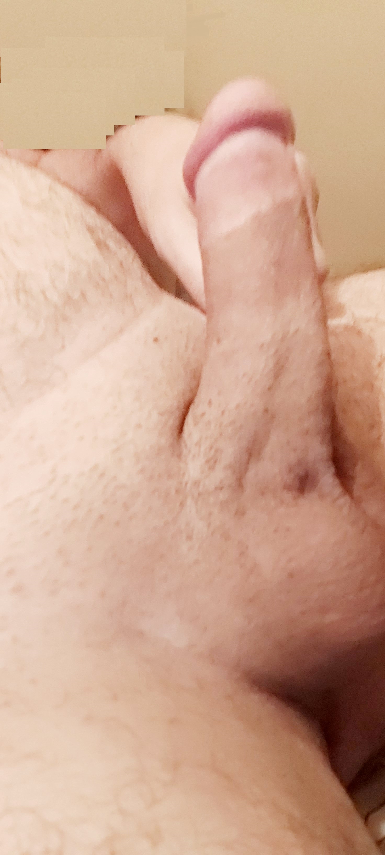    Copy