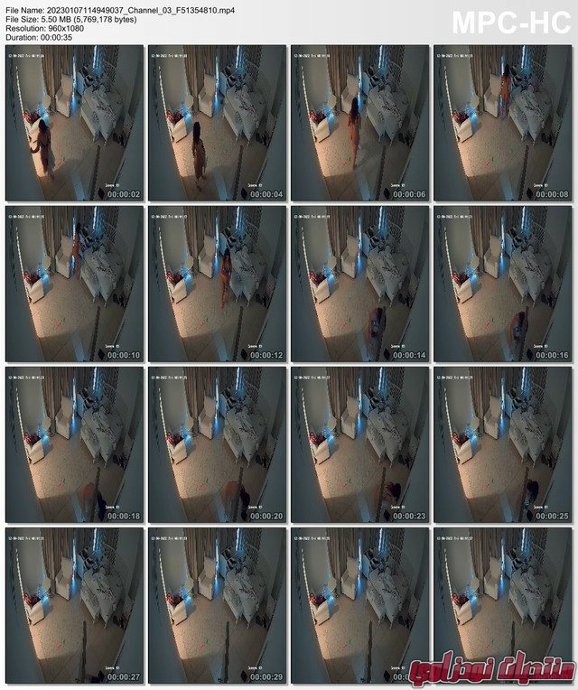 1000148101