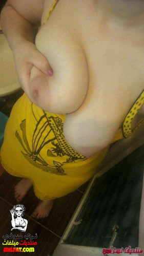 HZBGJSemd