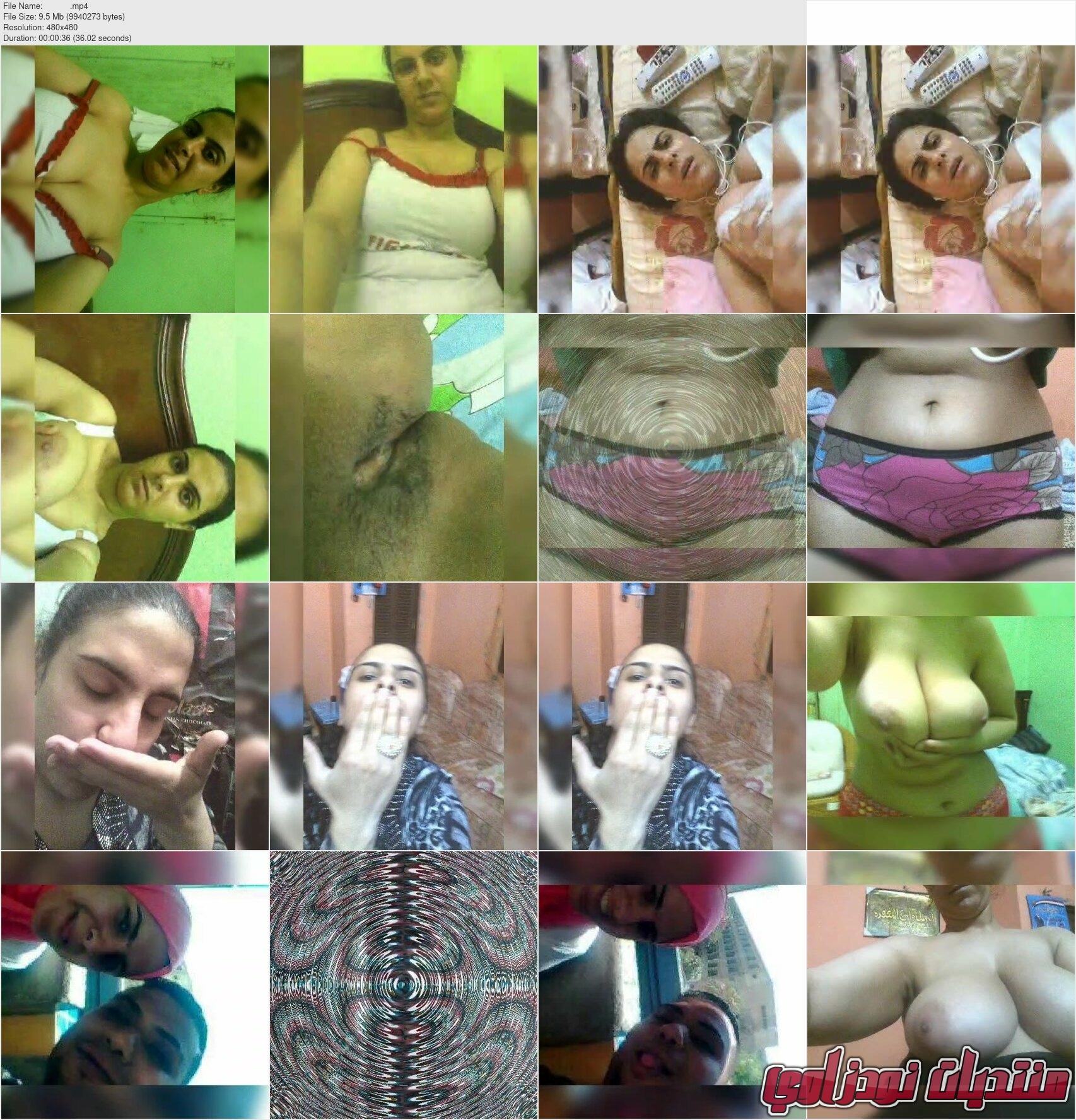 Le9wikzii22i x