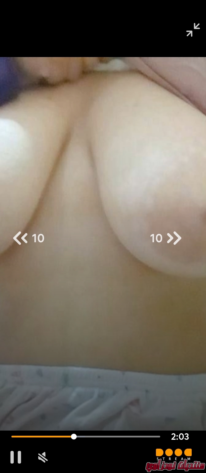 Screenshot        netupxproxybrowser