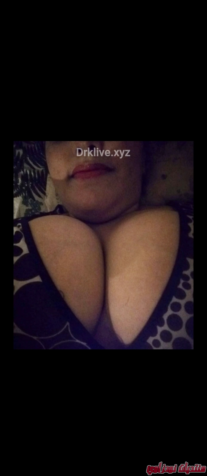 Screenshot        netupxproxybrowser