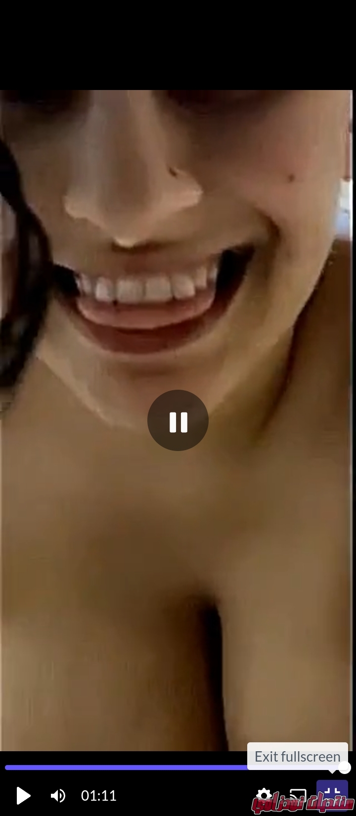 Screenshot        netupxproxybrowser