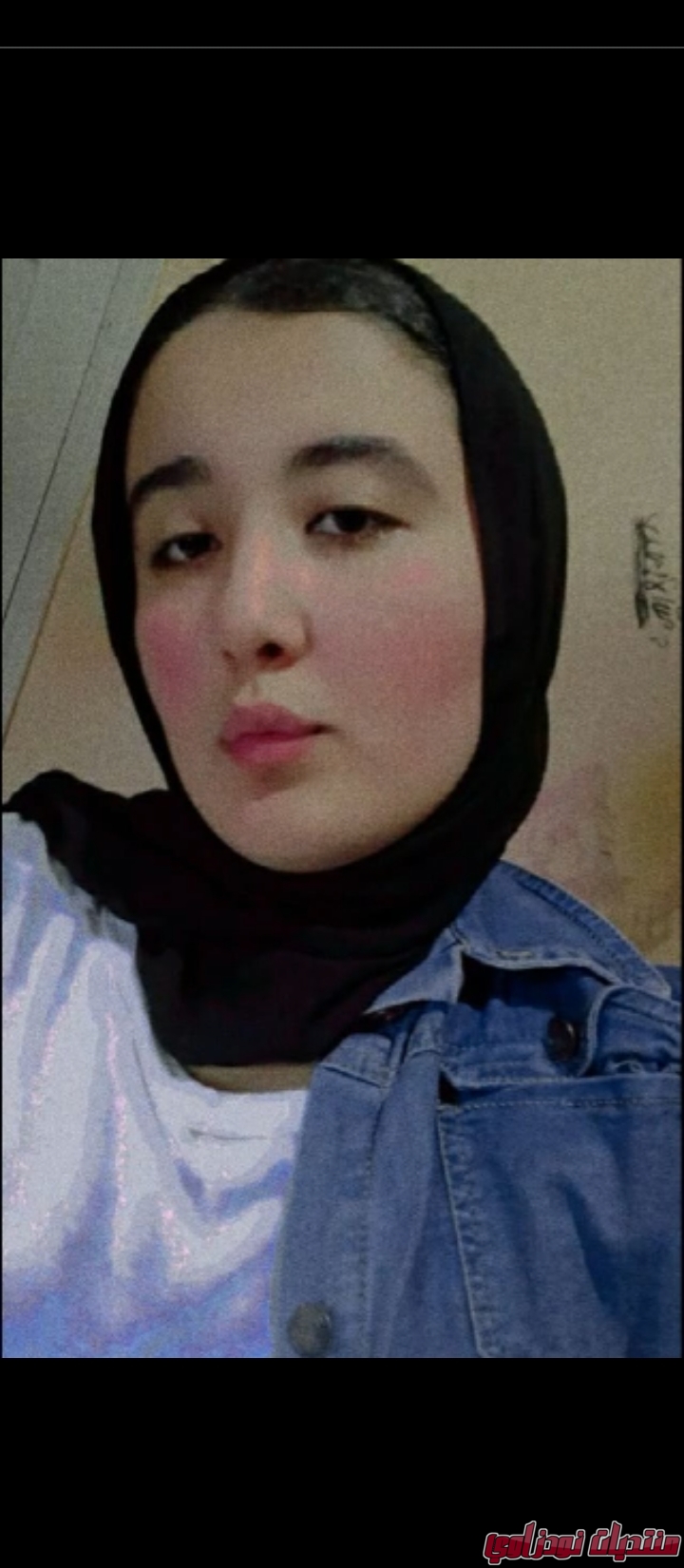 Screenshot        netupxproxybrowser