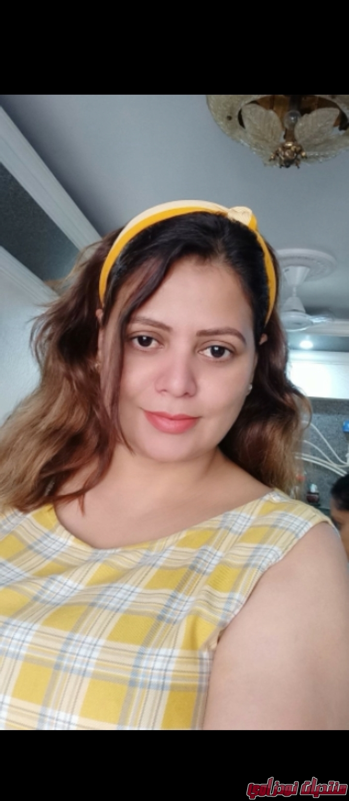 Screenshot        netupxproxybrowser