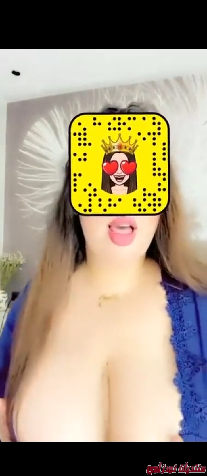 Screenshot        netupxproxybrowser
