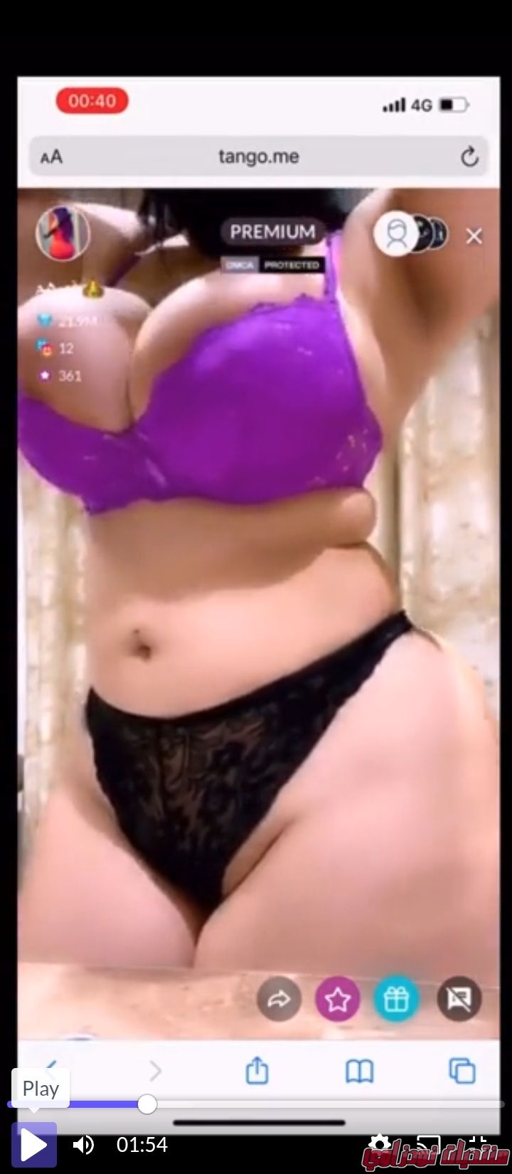 Screenshot        netupxproxybrowser