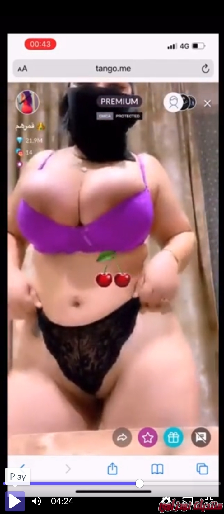 Screenshot        netupxproxybrowser