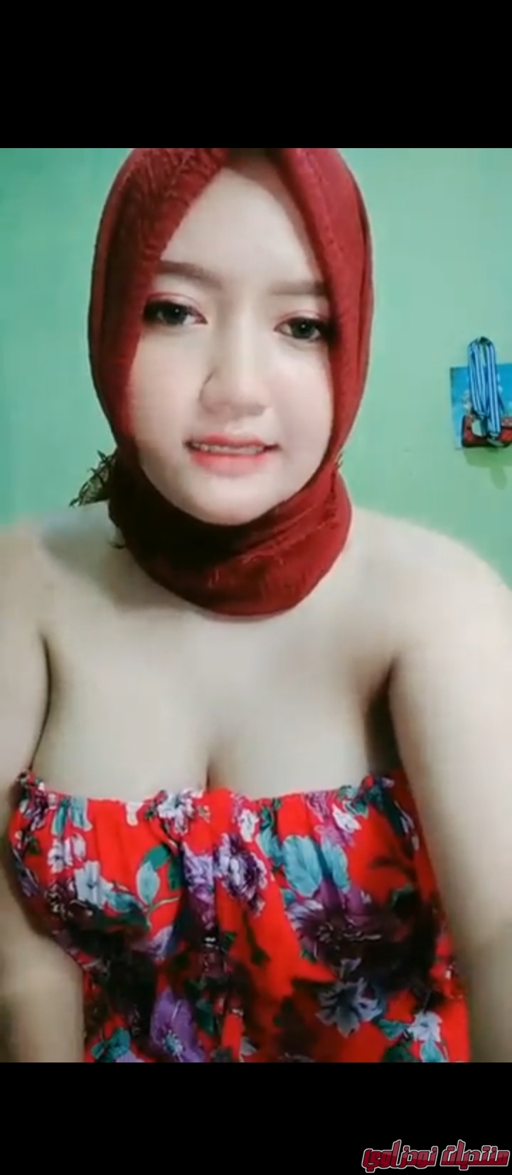 Screenshot        netupxproxybrowser
