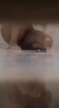 m7arem.mp4_000103566.png