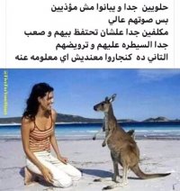 FB_IMG_16483181476062588.jpg