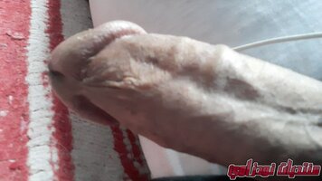IMG_20231028_102809_773.jpg