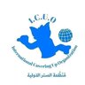 الدولي 11