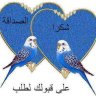 المتيو