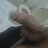 فحلك للعائله