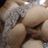 حوده الرايق