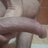 hegazy23
